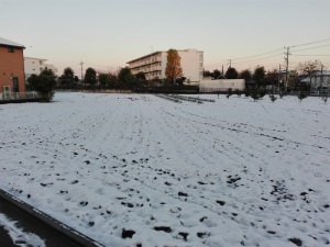 54年ぶりの１１月の初雪